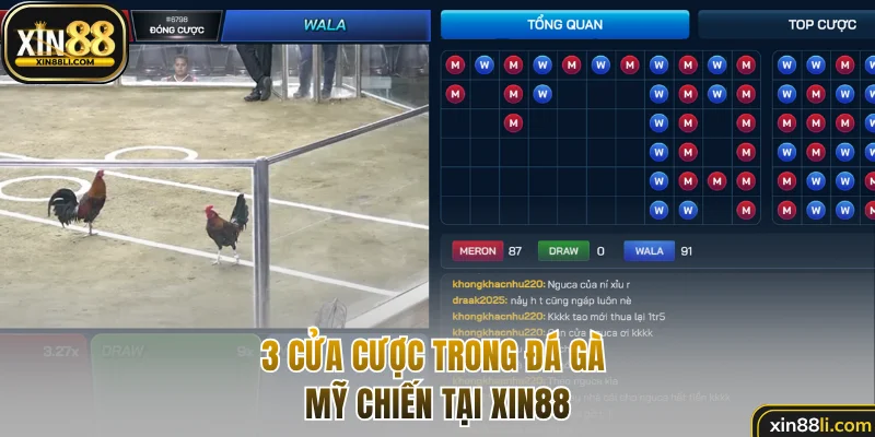 3 cửa cược trong đá gà Mỹ chiến tại Xin88