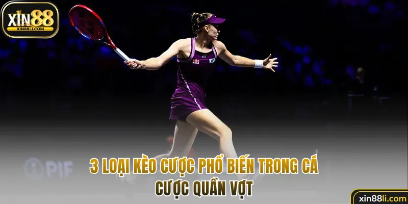 3 loại kèo cược phổ biến trong cá cược quần vợt