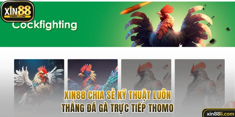 Bí quyết giúp bạn thống trị cuộc so tài các chiến kê