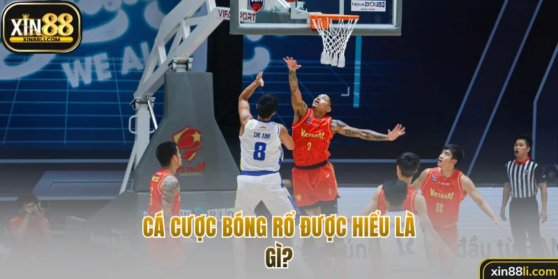 Cá cược bóng rổ được hiểu là gì?