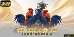 Đá gà trực tiếp Thomo