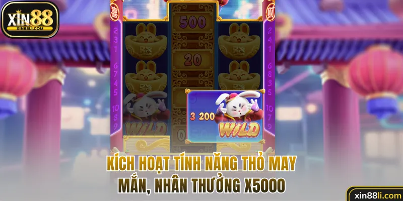 Kích hoạt tính năng Thỏ May Mắn, nhân thưởng x5000