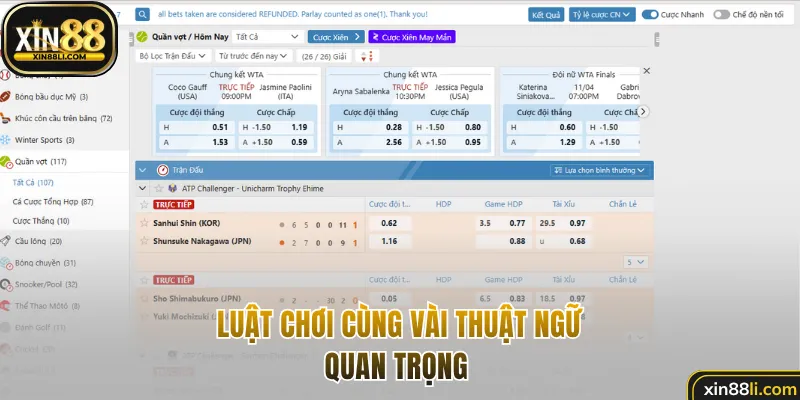 Luật chơi cùng vài thuật ngữ quan trọng 