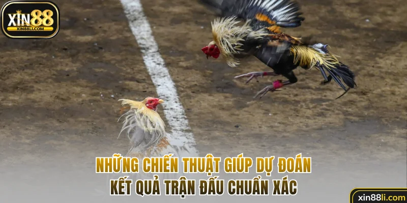 Những chiến thuật giúp dự đoán kết quả trận đấu chuẩn xác