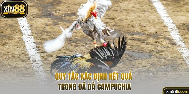 Quy tắc xác định kết quả trong đá gà Campuchia