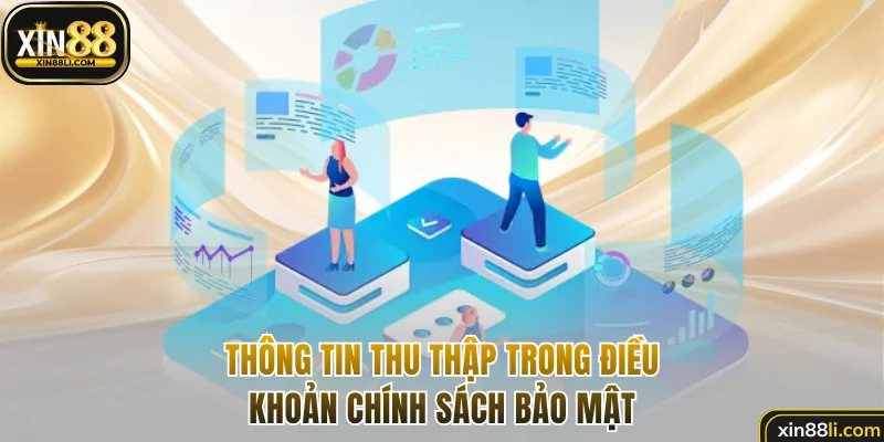 Thông tin thu thập trong điều khoản chính sách bảo mật