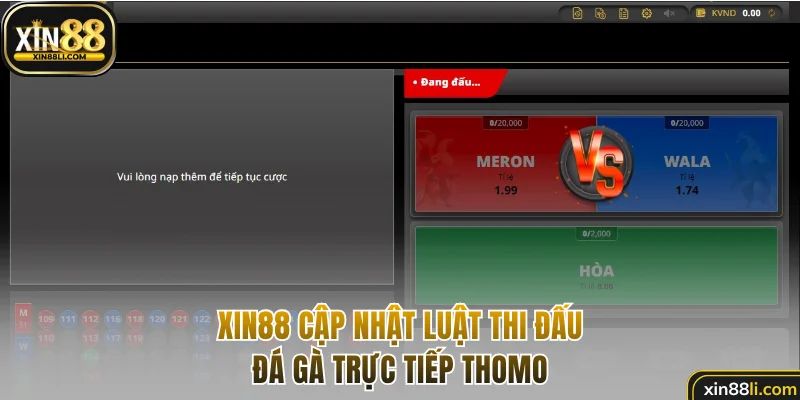 Xin88 bật mí luật tổ chức đá gà trực tiếp Thomo