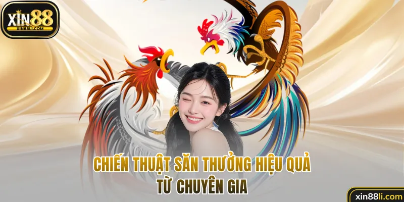 Chiến thuật săn thưởng hiệu quả từ chuyên gia