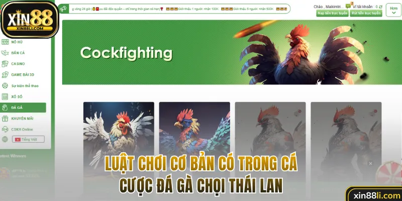 Luật chơi cơ bản có trong cá cược đá gà chọi Thái Lan